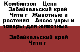 Комбинзон › Цена ­ 280 - Забайкальский край, Чита г. Животные и растения » Аксесcуары и товары для животных   . Забайкальский край,Чита г.